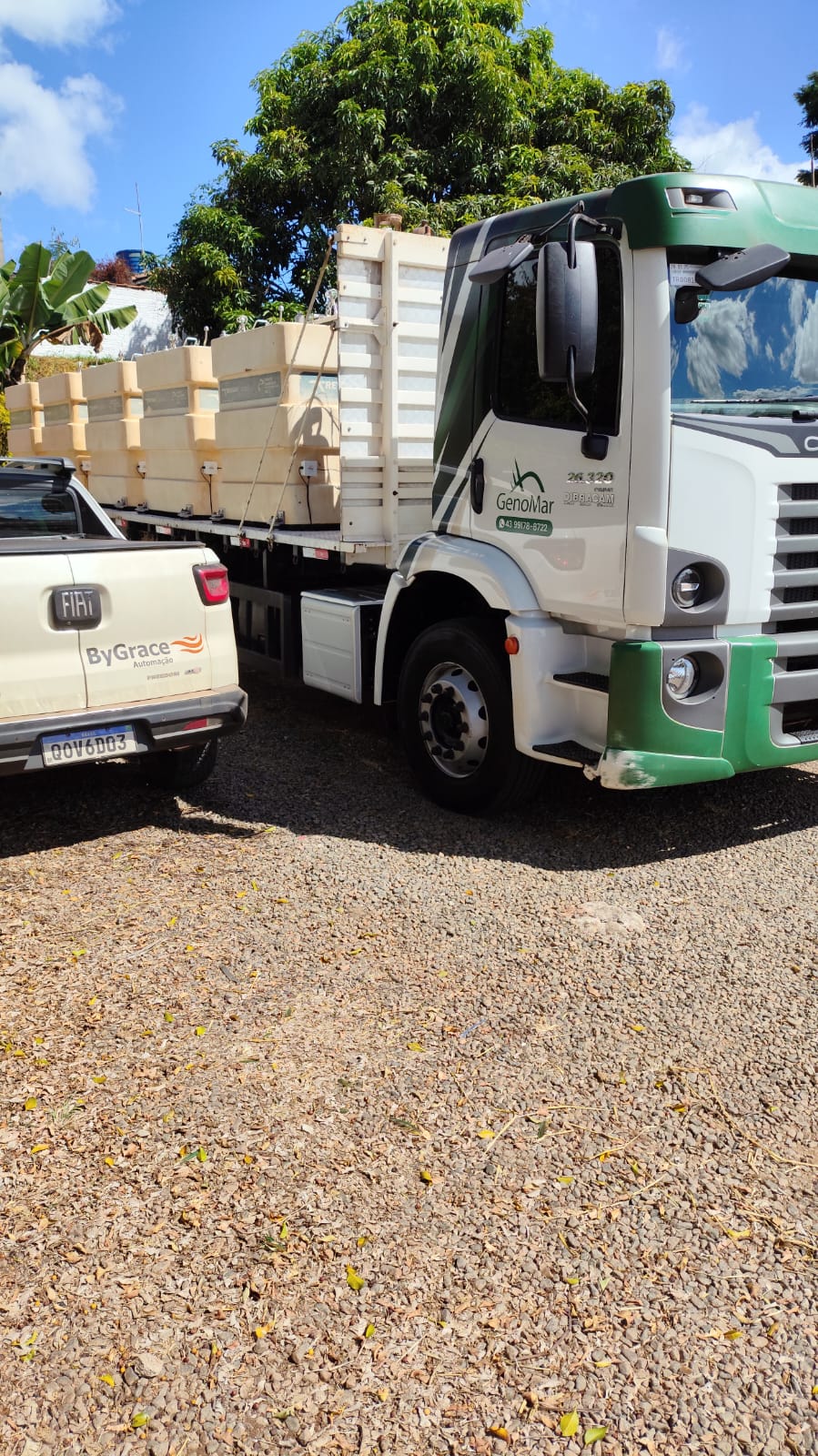 Smart Truck 301 em transporte de peixes